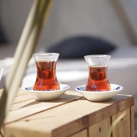 Ξενοδοχείο Sunprime C-lounge - Adult Only Αλάνια