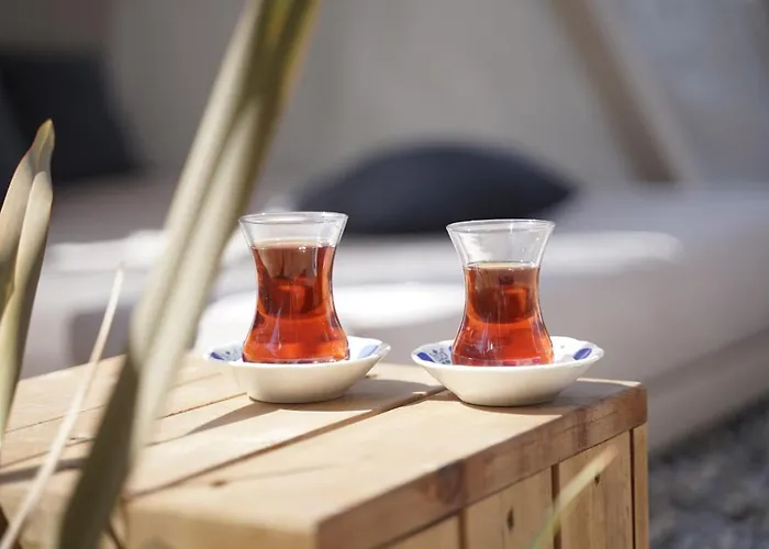 Hotell Sunprime C-lounge - Adult Only Alanya